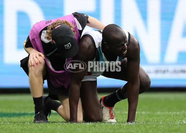 AFL 2024 Round 24 - Fremantle v Port Adelaide - A-53404425