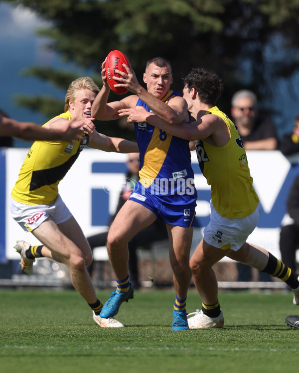 VFL 2024 Wildcard Round - Williamstown v Richmond - A-53404437