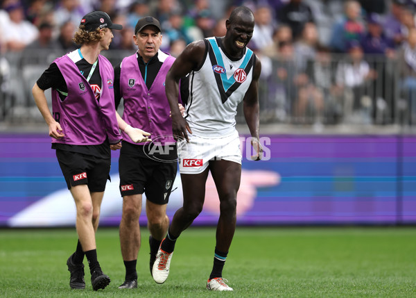 AFL 2024 Round 24 - Fremantle v Port Adelaide - A-53405888