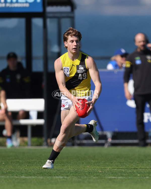 VFL 2024 Wildcard Round - Williamstown v Richmond - A-53405913