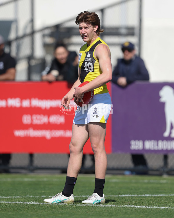 VFL 2024 Wildcard Round - Williamstown v Richmond - A-53405914