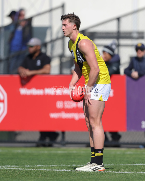 VFL 2024 Wildcard Round - Williamstown v Richmond - A-53405916