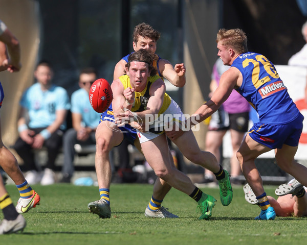 VFL 2024 Wildcard Round - Williamstown v Richmond - A-53405917