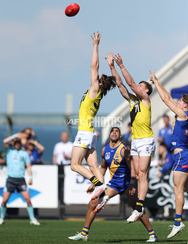 VFL 2024 Wildcard Round - Williamstown v Richmond - A-53405918