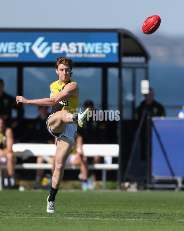 VFL 2024 Wildcard Round - Williamstown v Richmond - A-53405920