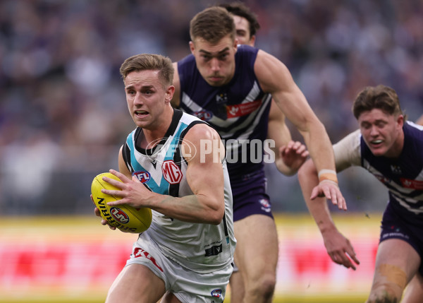 AFL 2024 Round 24 - Fremantle v Port Adelaide - A-53405952
