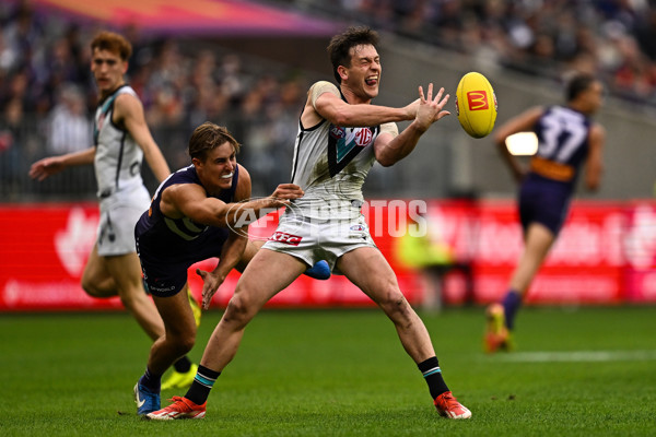 AFL 2024 Round 24 - Fremantle v Port Adelaide - A-53408207