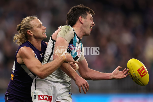 AFL 2024 Round 24 - Fremantle v Port Adelaide - A-53408279