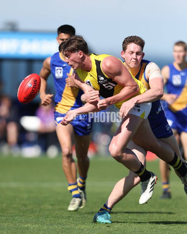 VFL 2024 Wildcard Round - Williamstown v Richmond - A-53408288