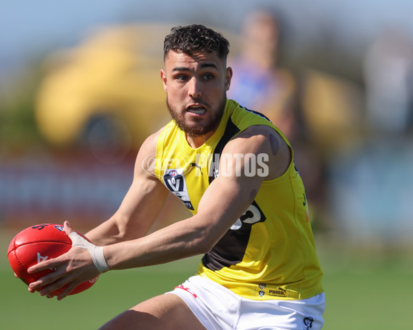 VFL 2024 Wildcard Round - Williamstown v Richmond - A-53408289