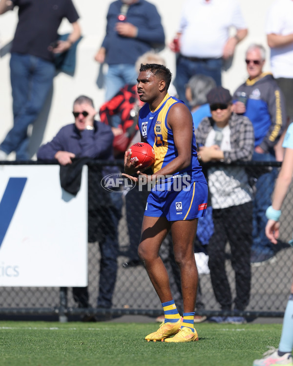 VFL 2024 Wildcard Round - Williamstown v Richmond - A-53408290