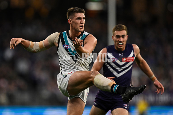 AFL 2024 Round 24 - Fremantle v Port Adelaide - A-53409608