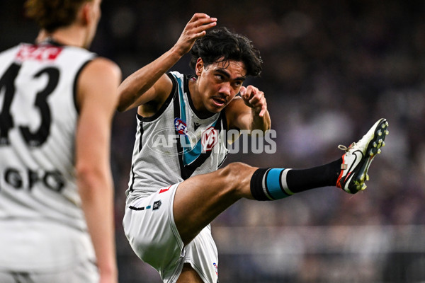 AFL 2024 Round 24 - Fremantle v Port Adelaide - A-53409612