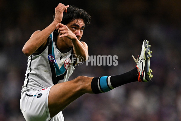 AFL 2024 Round 24 - Fremantle v Port Adelaide - A-53409614