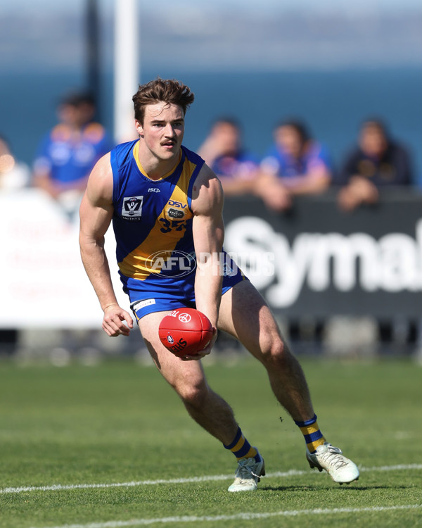 VFL 2024 Wildcard Round - Williamstown v Richmond - A-53409632