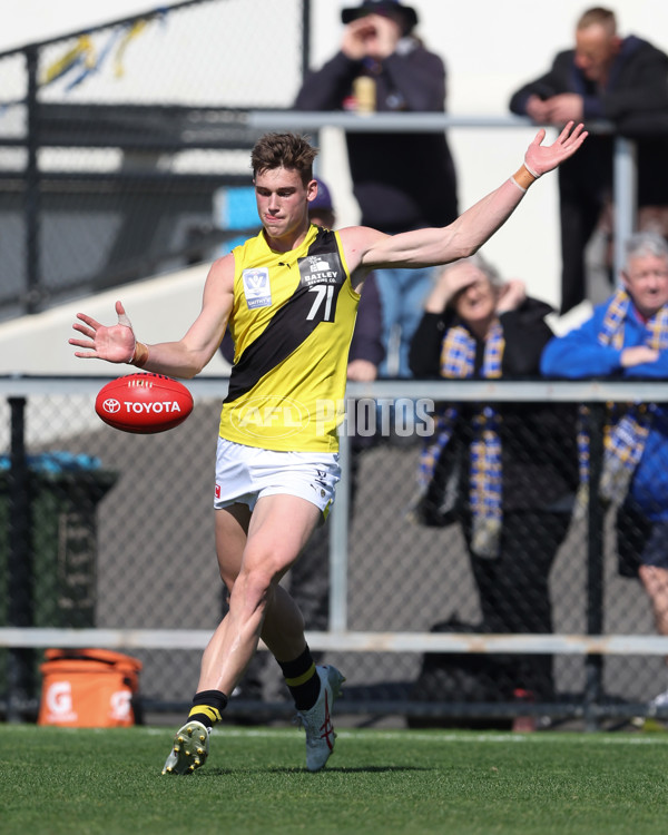 VFL 2024 Wildcard Round - Williamstown v Richmond - A-53409639