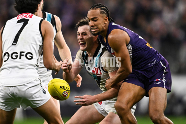 AFL 2024 Round 24 - Fremantle v Port Adelaide - A-53409652