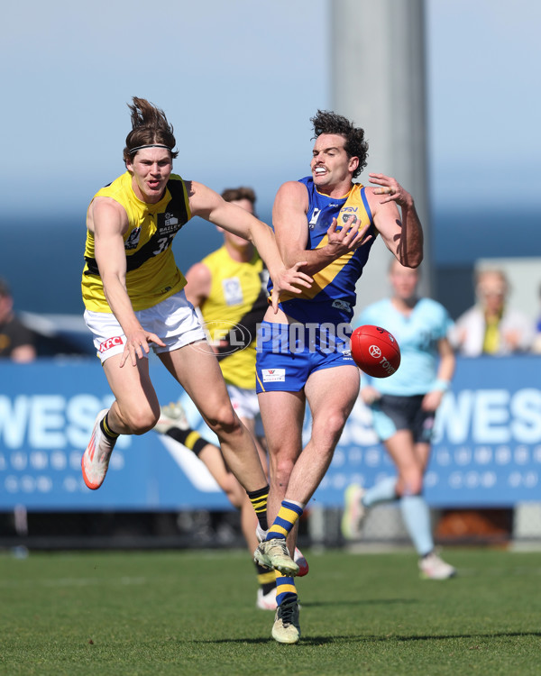 VFL 2024 Wildcard Round - Williamstown v Richmond - A-53410711