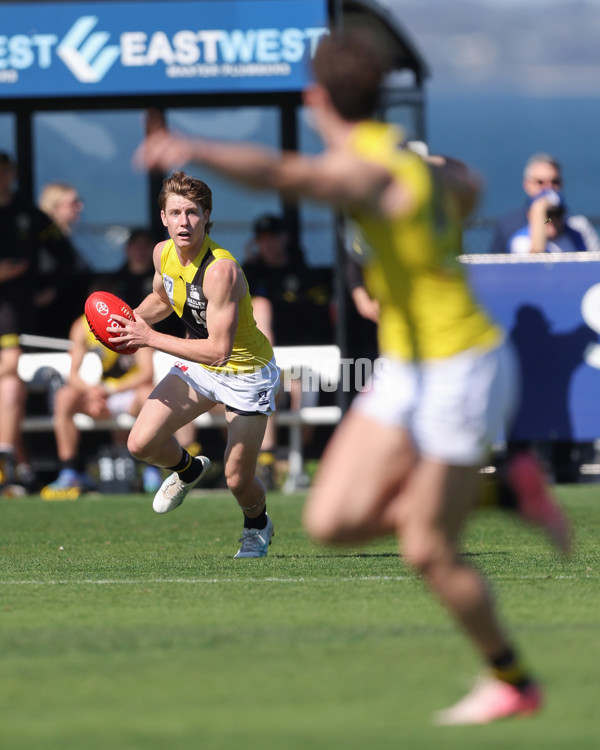 VFL 2024 Wildcard Round - Williamstown v Richmond - A-53410713