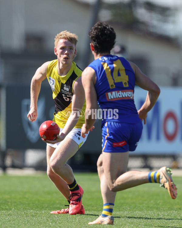 VFL 2024 Wildcard Round - Williamstown v Richmond - A-53410714