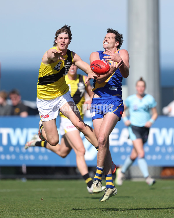 VFL 2024 Wildcard Round - Williamstown v Richmond - A-53410715