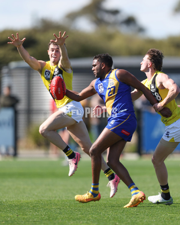 VFL 2024 Wildcard Round - Williamstown v Richmond - A-53410716