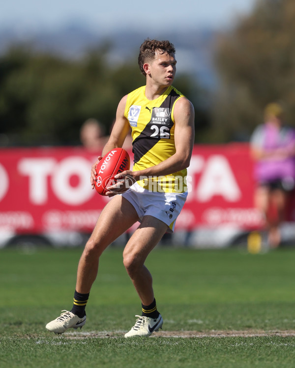 VFL 2024 Wildcard Round - Williamstown v Richmond - A-53410718