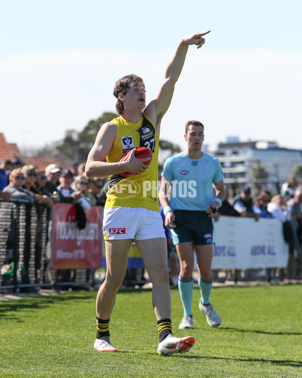 VFL 2024 Wildcard Round - Williamstown v Richmond - A-53413144