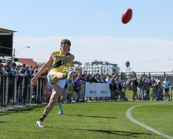 VFL 2024 Wildcard Round - Williamstown v Richmond - A-53413147