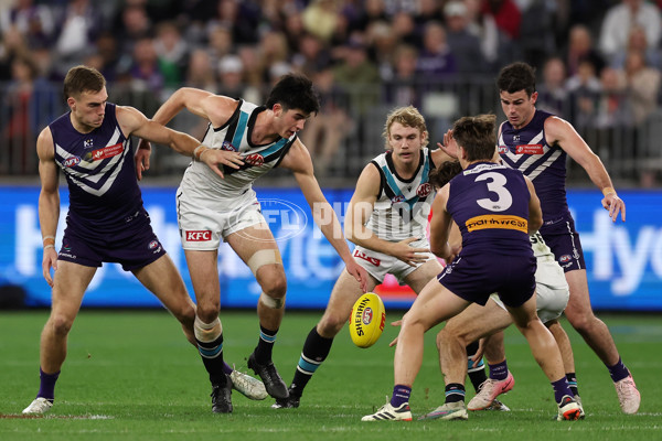 AFL 2024 Round 24 - Fremantle v Port Adelaide - A-53413234