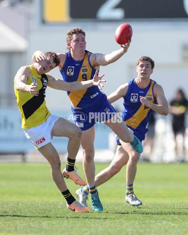 VFL 2024 Wildcard Round - Williamstown v Richmond - A-53414690