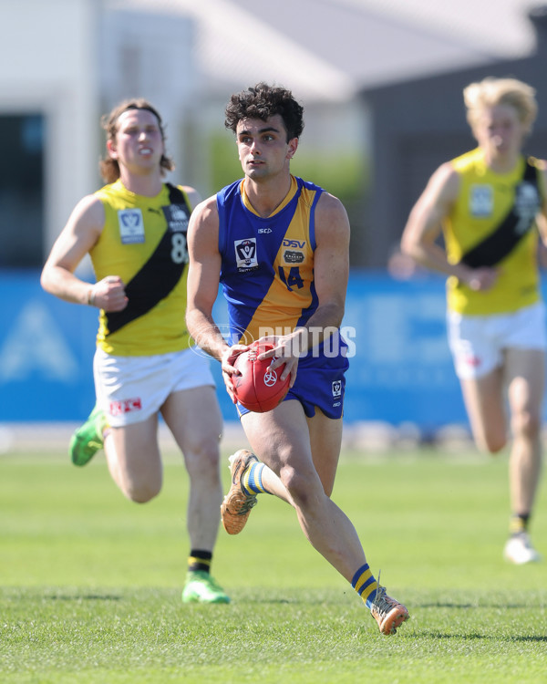 VFL 2024 Wildcard Round - Williamstown v Richmond - A-53414691