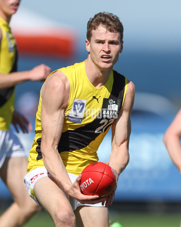 VFL 2024 Wildcard Round - Williamstown v Richmond - A-53414692