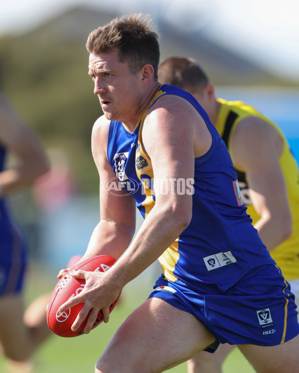 VFL 2024 Wildcard Round - Williamstown v Richmond - A-53414693