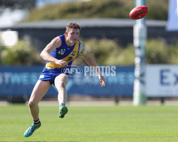 VFL 2024 Wildcard Round - Williamstown v Richmond - A-53414694