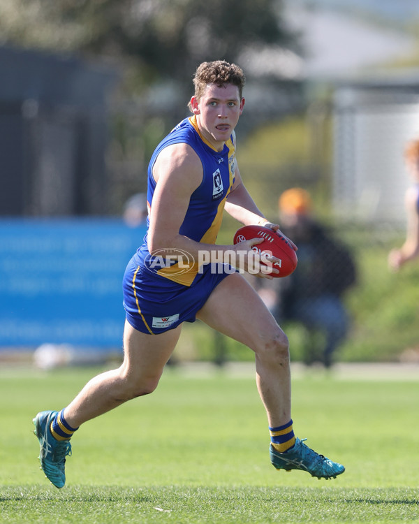 VFL 2024 Wildcard Round - Williamstown v Richmond - A-53414695