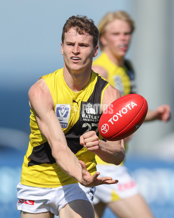 VFL 2024 Wildcard Round - Williamstown v Richmond - A-53414697