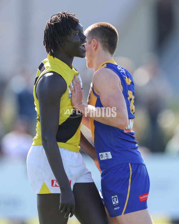 VFL 2024 Wildcard Round - Williamstown v Richmond - A-53414706