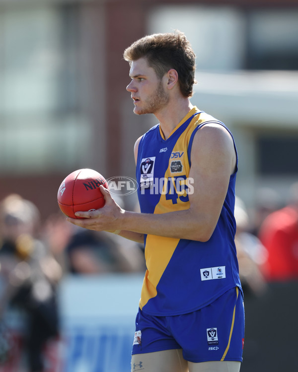 VFL 2024 Wildcard Round - Williamstown v Richmond - A-53414708