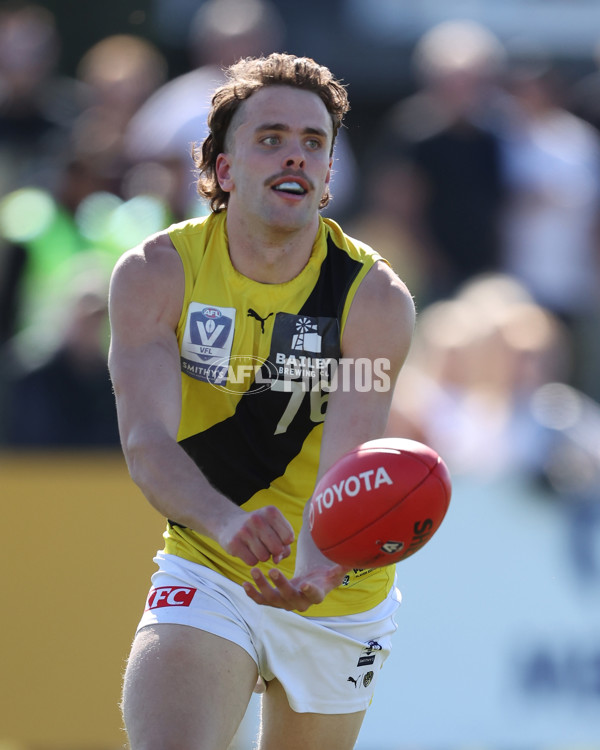 VFL 2024 Wildcard Round - Williamstown v Richmond - A-53414710