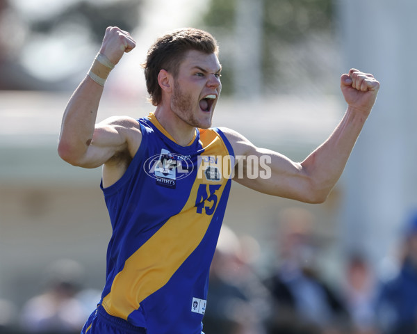 VFL 2024 Wildcard Round - Williamstown v Richmond - A-53414712