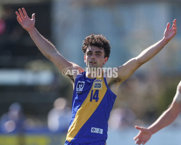 VFL 2024 Wildcard Round - Williamstown v Richmond - A-53414726