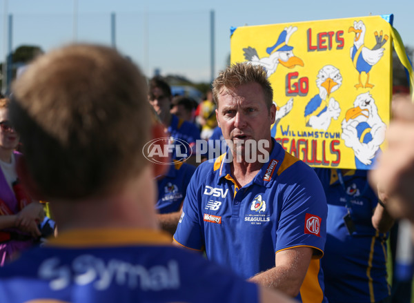 VFL 2024 Wildcard Round - Williamstown v Richmond - A-53414739