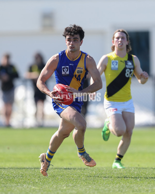 VFL 2024 Wildcard Round - Williamstown v Richmond - A-53415774