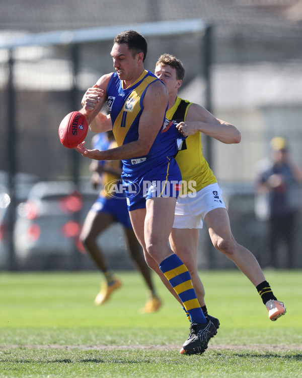 VFL 2024 Wildcard Round - Williamstown v Richmond - A-53415775