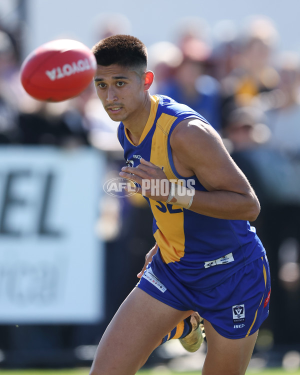 VFL 2024 Wildcard Round - Williamstown v Richmond - A-53415781