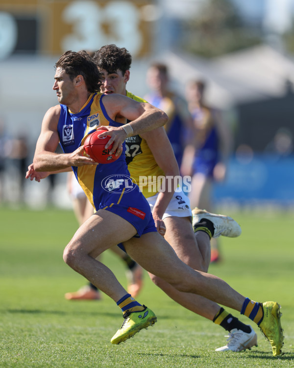 VFL 2024 Wildcard Round - Williamstown v Richmond - A-53415791