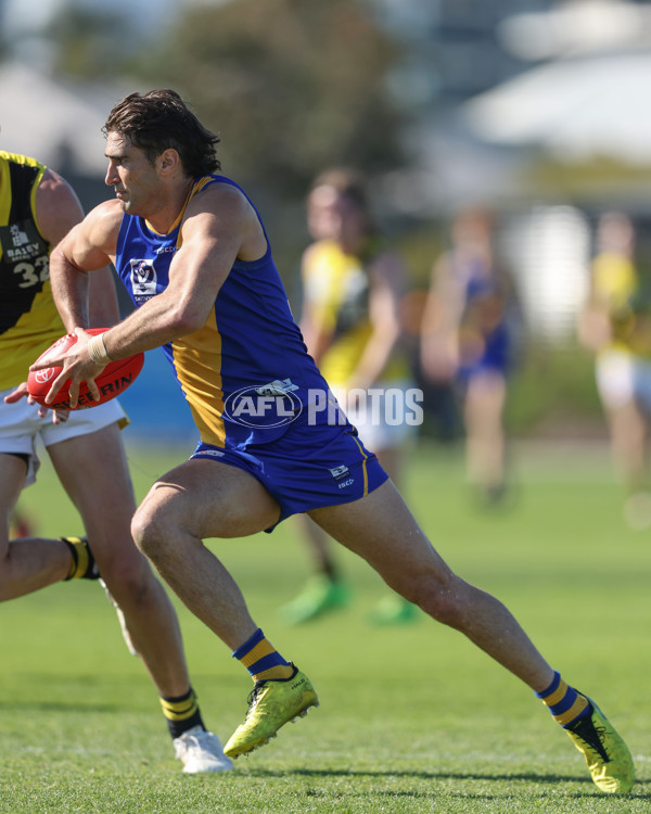 VFL 2024 Wildcard Round - Williamstown v Richmond - A-53415793