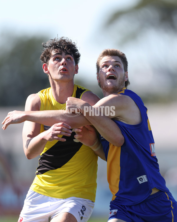 VFL 2024 Wildcard Round - Williamstown v Richmond - A-53415794