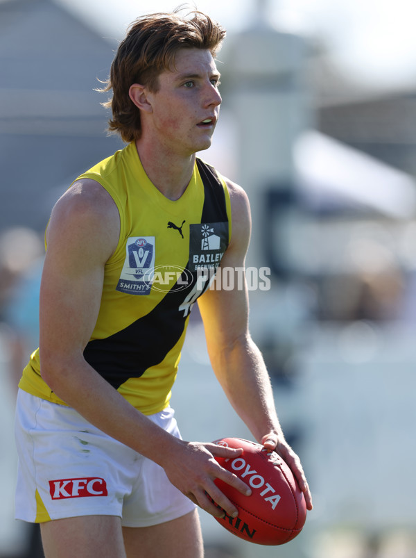 VFL 2024 Wildcard Round - Williamstown v Richmond - A-53415795